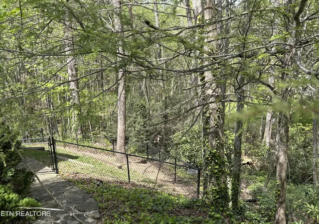 40th image of 1713 Cardinal Dr, Gatlinburg, TN 37738 | MLS# 3305371