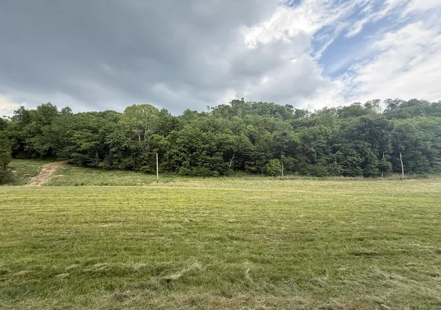 Homes for sale in Gainesboro, TN | 0 Hurricane Branch Lane, Gainesboro, TN 38562 | MLS# 3246473