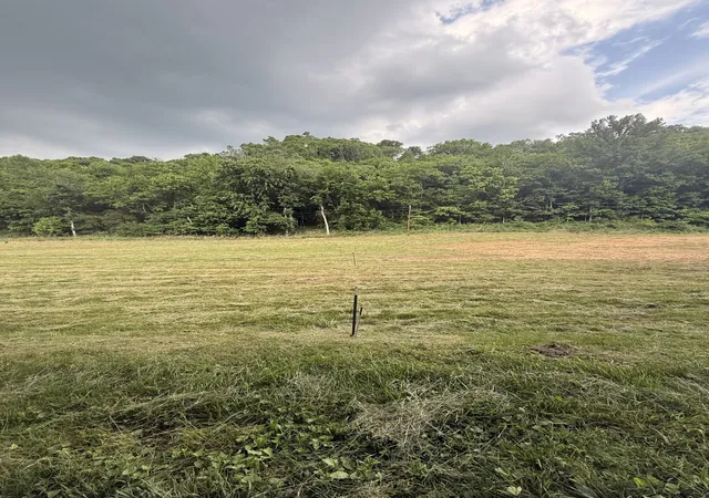 Homes for sale in Gainesboro, TN | 0 Hurricane Branch Lane, Gainesboro, TN 38562 | MLS# 3246473
