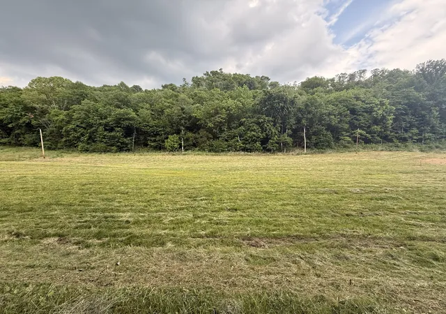 Photo 3 of Land for sale at 0 Hurricane Branch Ln, Gainesboro, TN 38562 | MLS# 3246473 | Listing updated on 2026-09-30