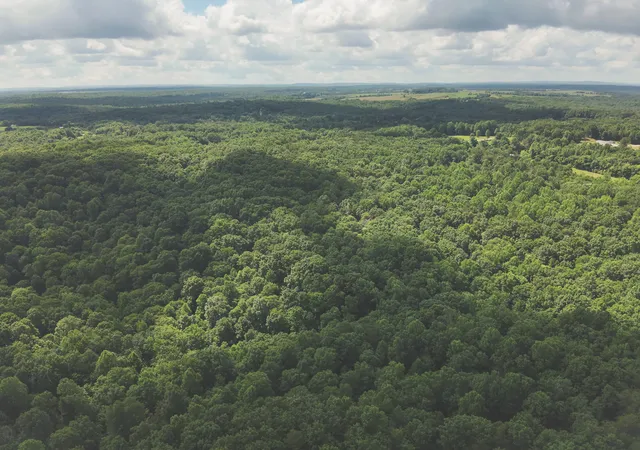 Homes for sale in Spencer, TN | 0 Long Fork Creek Rd, Spencer, TN 38585 | MLS# 3245487