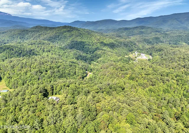 42nd image of 4620 Teague Branch Rd, Hartford, TN 37753 | MLS# 3250354