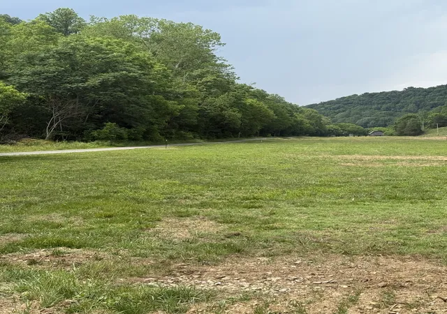 2nd image of 0 Hurricane Branch Lane, Gainesboro, TN 38562 | MLS# 3299530