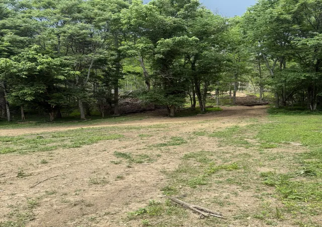 3rd image of 0 Hurricane Branch Lane, Gainesboro, TN 38562 | MLS# 3299530