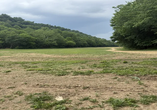4th image of 0 Hurricane Branch Lane, Gainesboro, TN 38562 | MLS# 3299530