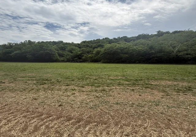 8th image of 0 Hurricane Branch Lane, Gainesboro, TN 38562 | MLS# 3299530