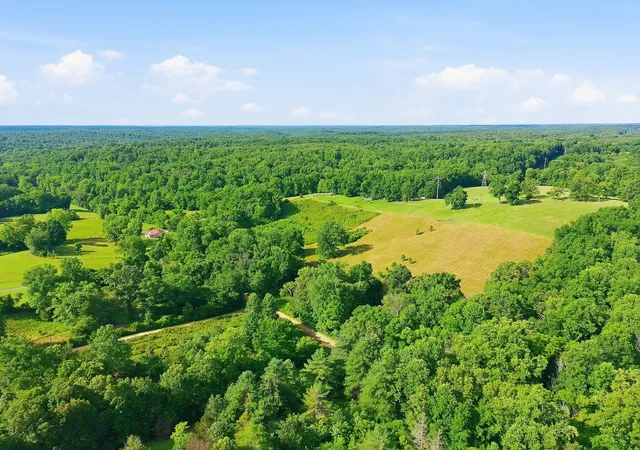 Photo 3 of Land for sale at 0 Alex Goines Rd, Lyles, TN 37098 | MLS# 3276627 | Listing updated on 2026-08-19