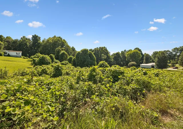 Homes for sale in Madisonville, TN | 140 Scenic View Lane, Madisonville, TN 37354 | MLS# 3245608