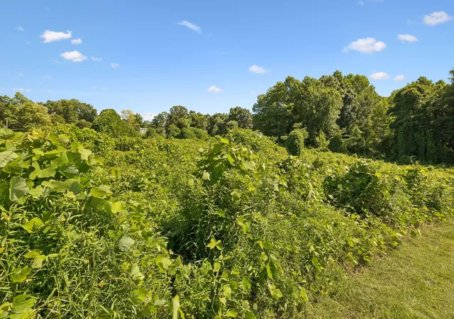 Homes for sale in Madisonville, TN | 140 Scenic View Lane, Madisonville, TN 37354 | MLS# 3245608