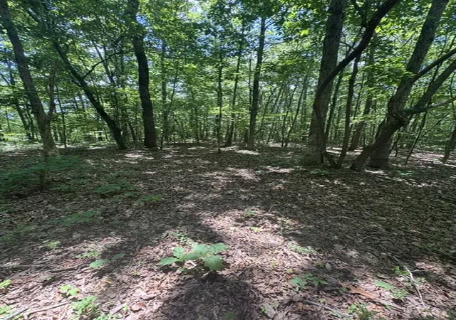 16th image of 0 East Fork Ln, Crawford, TN 38554 | MLS# 3245656