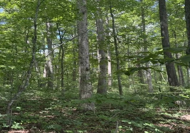 4th image of 0 East Fork Ln, Crawford, TN 38554 | MLS# 3245656
