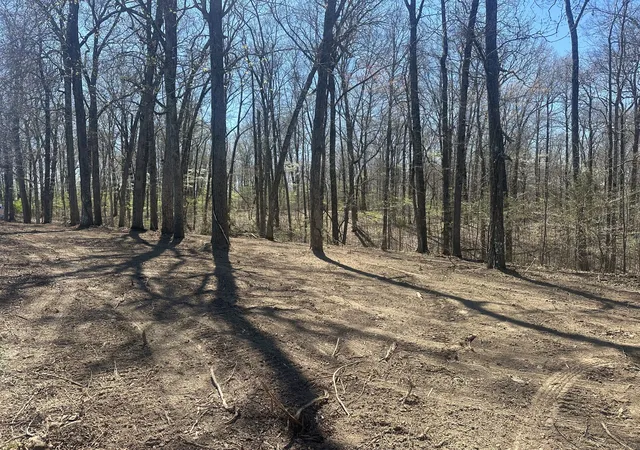 Homes for sale in Silver Point, TN | 0 Arnold Thomas Rd, Silver Point, TN 38582 | MLS# 3247305