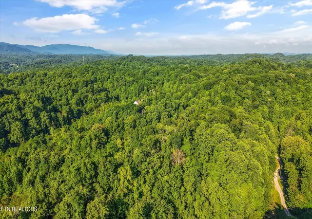 Homes for sale in Seymour, TN | 1717 Long Branch Rd, Seymour, TN 37865 | MLS# 3245779