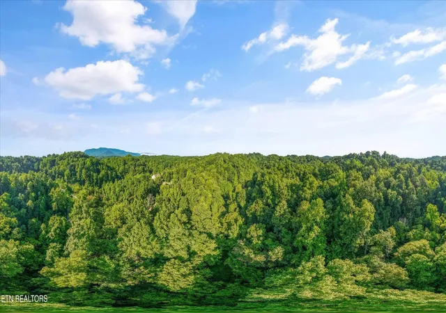 Homes for sale in Seymour, TN | 1717 Long Branch Rd, Seymour, TN 37865 | MLS# 3245779