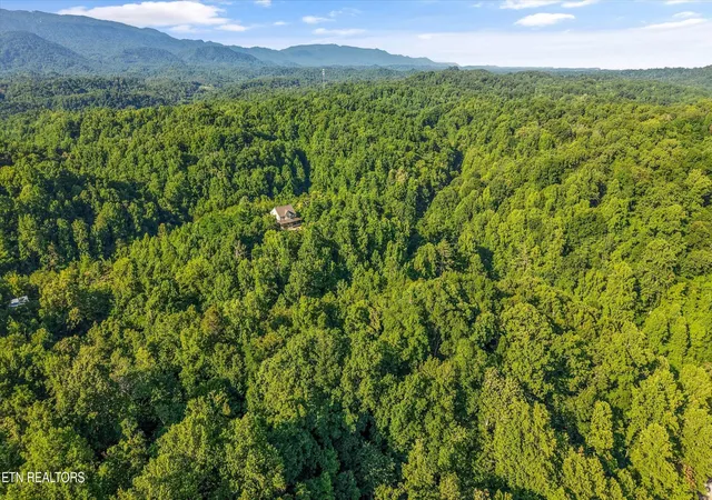 Homes for sale in Seymour, TN | 1717 Long Branch Rd, Seymour, TN 37865 | MLS# 3245779