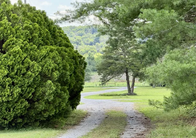 Photo 4 of Manufactured home for sale at 1280b Mccrary Rd, Lebanon, TN 37087 | MLS# 3246095 | Listing updated on 2026-08-13
