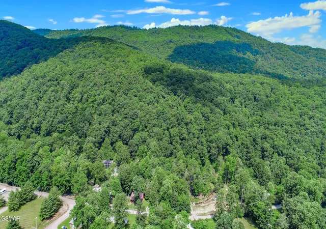 35th image of 969 Carson Springs Road, Newport, TN 37821 | MLS# 3321023