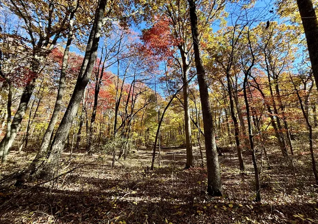 1st image of 0 Harrison Ferry Rd, Mc Minnville, TN 37110 | MLS# 3245995