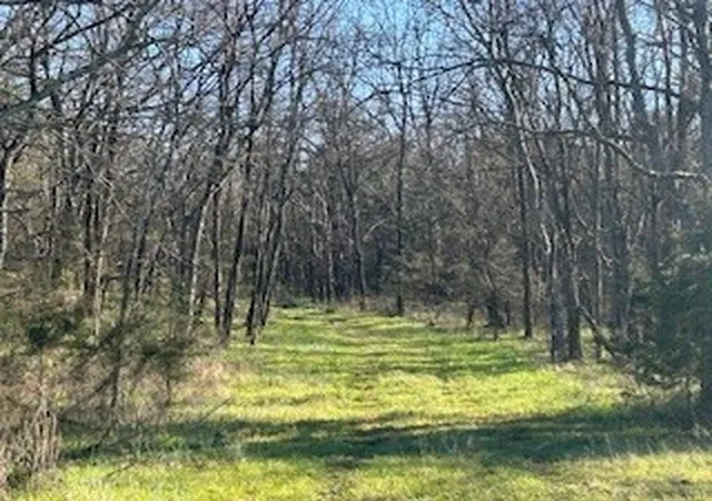 Photo 2 of Land for sale at 14907 Cainsville Rd, Lebanon, TN 37090 | MLS# 3246195 | Listing updated on 2026-06-19