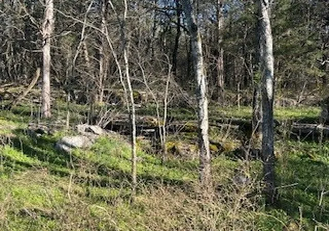 Photo 4 of Land for sale at 14907 Cainsville Rd, Lebanon, TN 37090 | MLS# 3246195 | Listing updated on 2026-06-19