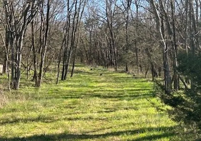Photo 9 of Land for sale at 14907 Cainsville Rd, Lebanon, TN 37090 | MLS# 3246195 | Listing updated on 2026-06-19