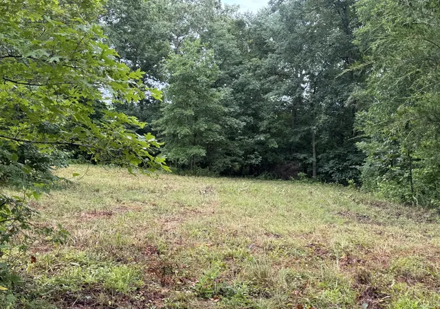 Photo 1 of Land for sale at 0 Johnson Holw Rd, Stewart, TN 37175 | MLS# 3246849 | Listing updated on 2026-08-20
