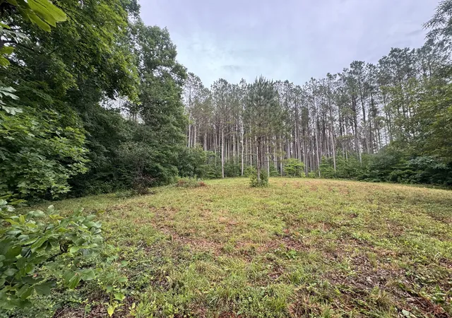 Photo 2 of Land for sale at 0 Johnson Holw Rd, Stewart, TN 37175 | MLS# 3246849 | Listing updated on 2026-08-20