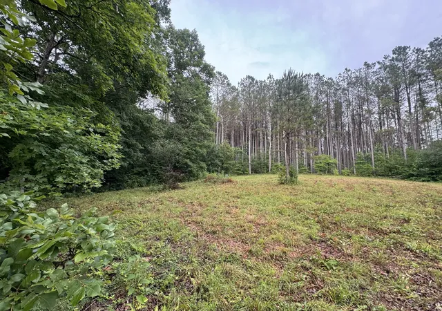 Photo 2 of Land for sale at 0 Johnson Holw Rd, Stewart, TN 37175 | MLS# 3246849 | Listing updated on 2026-08-20