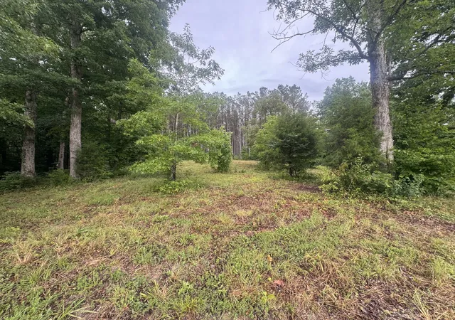 Photo 3 of Land for sale at 0 Johnson Holw Rd, Stewart, TN 37175 | MLS# 3246849 | Listing updated on 2026-08-20