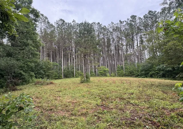 Photo 4 of Land for sale at 0 Johnson Holw Rd, Stewart, TN 37175 | MLS# 3246849 | Listing updated on 2026-08-20