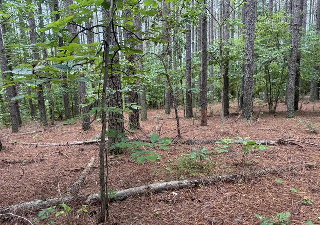 Photo 10 of Land for sale at 0 Johnson Holw Rd, Stewart, TN 37175 | MLS# 3246849 | Listing updated on 2026-08-20