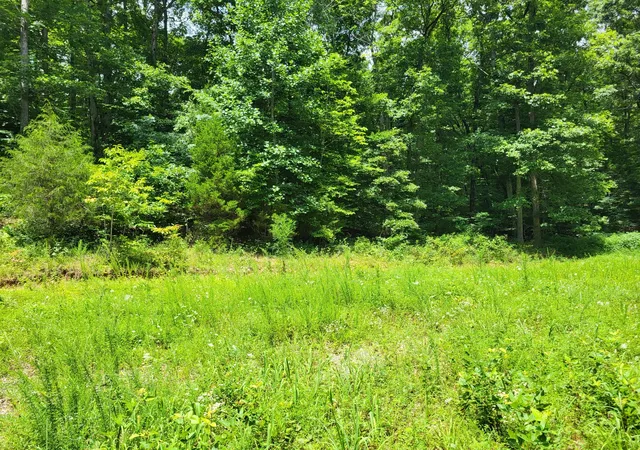Homes for sale in Mosheim, TN | 1 Mt Carmel Rd, Mosheim, TN 37818 | MLS# 3246090