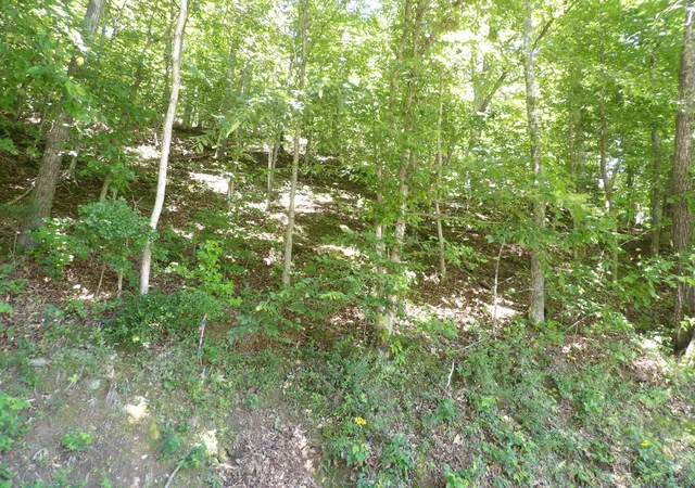 Photo 1 of Land for sale at 587 W Little Richland Rd, Waverly, TN 37185 | MLS# 3246557 | Listing updated on 2026-06-24