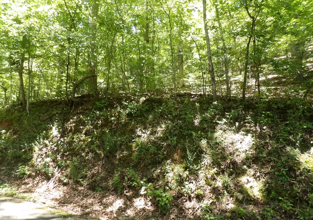 Photo 2 of Land for sale at 587 W Little Richland Rd, Waverly, TN 37185 | MLS# 3246557 | Listing updated on 2026-06-24