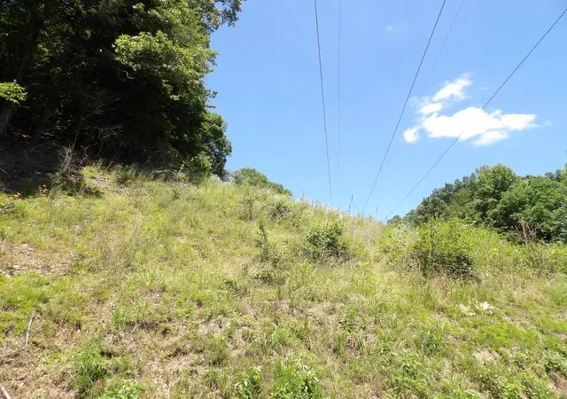 Photo 3 of Land for sale at 587 W Little Richland Rd, Waverly, TN 37185 | MLS# 3246557 | Listing updated on 2026-06-24