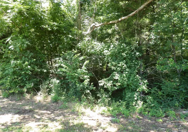 Photo 3 of Land for sale at 587 W Little Richland Rd, Waverly, TN 37185 | MLS# 3246557 | Listing updated on 2026-06-24