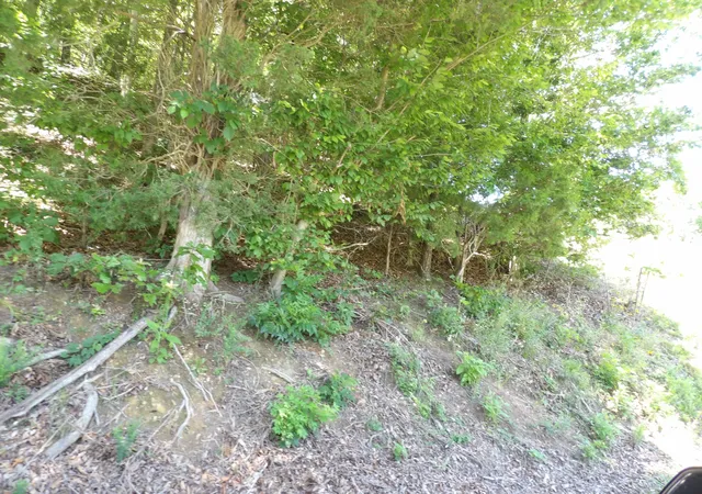 Photo 4 of Land for sale at 587 W Little Richland Rd, Waverly, TN 37185 | MLS# 3246557 | Listing updated on 2026-06-24