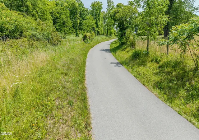 Homes for sale in Rutledge, TN | 0 Poor Valley Road, Rutledge, TN 37861 | MLS# 3278340