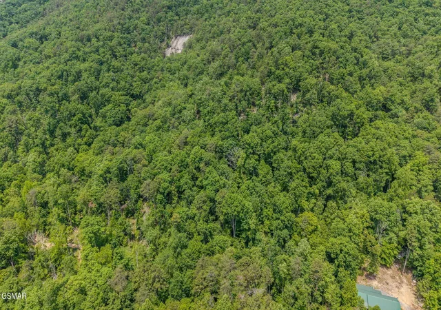 Homes for sale in Rutledge, TN | 0 Poor Valley Road, Rutledge, TN 37861 | MLS# 3278340