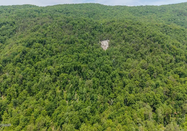Homes for sale in Rutledge, TN | 0 Poor Valley Road, Rutledge, TN 37861 | MLS# 3278340