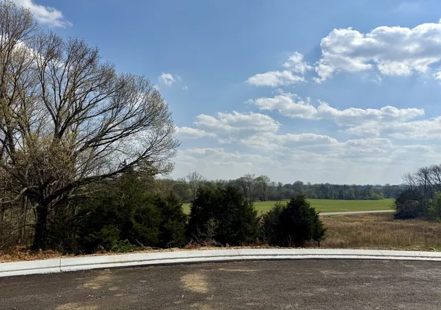 1st image of 527 Divine Ct, Arrington, TN 37014 | MLS# 3246253