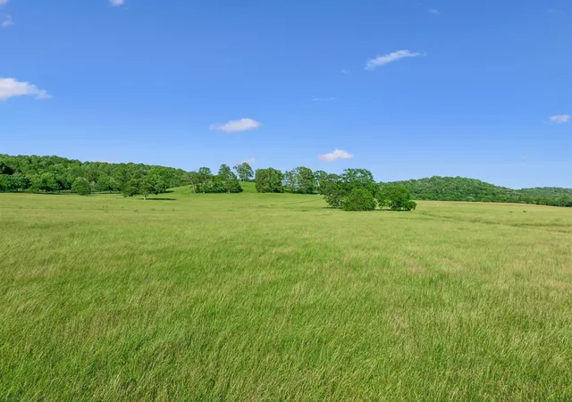 Photo 4 of Land for sale at 3201 Carl Rd, Franklin, TN 37064 | MLS# 3246447 | Listing updated on 2026-06-20