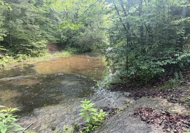 2nd image of 29 Gibbs Rd, Ashland City, TN 37015 | MLS# 3246547