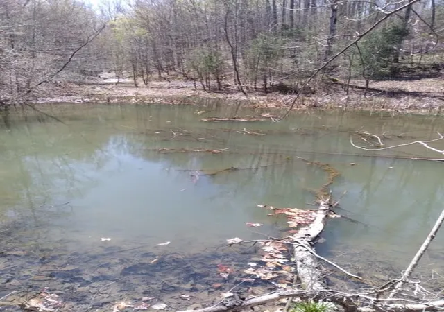 Photo 3 of Land for sale at 29 Gibbs Rd, Ashland City, TN 37015 | MLS# 3246547 | Listing updated on 2026-10-03
