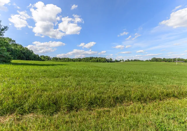 Homes for sale in Chapmansboro, TN | 5 Poplar Ridge Rd, Chapmansboro, TN 37035 | MLS# 3246554