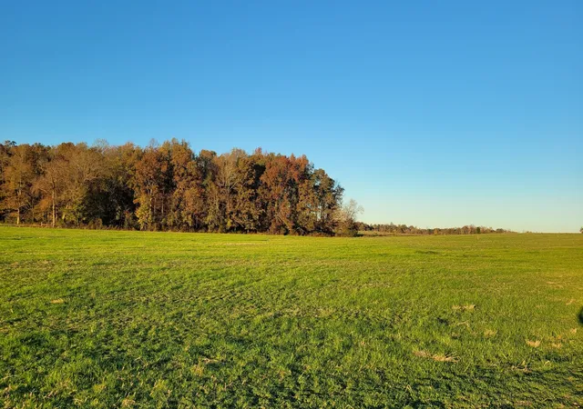 Photo 3 of Land for sale at 11 Ira Darby Prater Hwy, Woodbury, TN 37190 | MLS# 3246559 | Listing updated on 2026-06-21