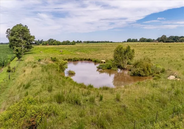 Homes for sale in Leoma, TN | 0 Marks Rd, Leoma, TN 38468 | MLS# 3246584