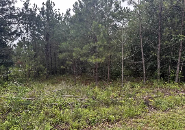 Homes for sale in Big Rock, TN | 0 Hwy 120, Big Rock, TN 37023 | MLS# 3247211