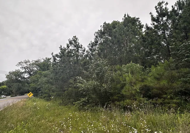 Photo 3 of Land for sale at 0 Highway 120, Big Rock, TN 37023 | MLS# 3247211 | Listing updated on 2026-08-05
