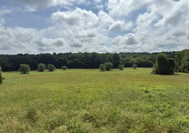 Homes for sale in Iron City, TN | 8033 Roberson Cemetery Rd, Iron City, TN 38463 | MLS# 3246791